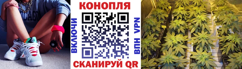 Купить наркотики Плёс Вейп ТГК Меф Галлюциногенные грибы блэк спрут как войти МЕТАМФЕТАМИН ГАШИШ Cocaine Канабис