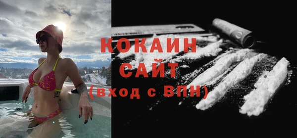 ГАЛЛЮЦИНОГЕННЫЕ ГРИБЫ Нея