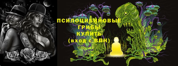 ГАЛЛЮЦИНОГЕННЫЕ ГРИБЫ Нея